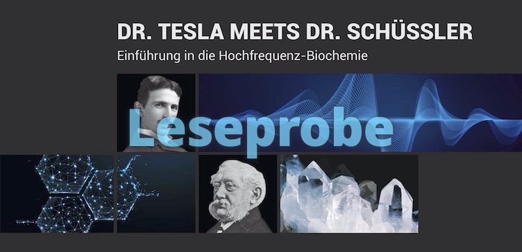 Einführung In Die Hochfrequenz-Biochemie 2 Tesla Meets Schuessler Leseprobe Preview